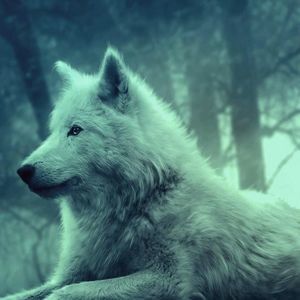 Meet your Posher, Alexander